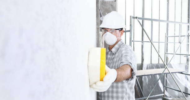 Why You Should Choose Our Mold Remediation Services in Pasadena, CA